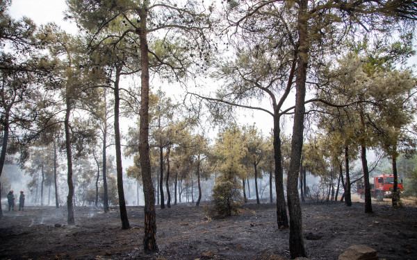 Πυροπροστασία: Το «Maestro» του ΑΠΘ έτοιμο να παρακολουθεί πυρκαγιές