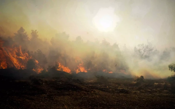 Εύβοια: Αντιμέτωπες με διάσπαρτες εστίες τη νύχτα οι πυροσβεστικές δυνάμεις στο Αφράτι