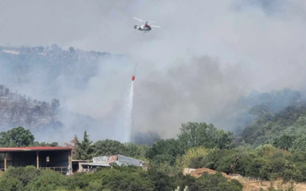 Φωτιά στη Ροδόπη: Πάνω από 100 πυροσβέστες στη μάχη με τις φλόγες