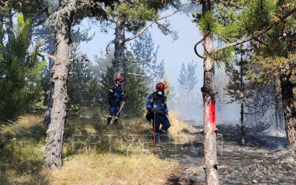 Υπό έλεγχο η πυρκαγιά σε αγροτική έκταση στο Κορωπί