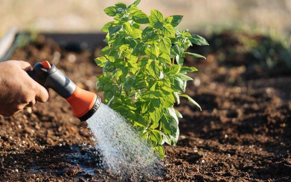 Χαλκιδική: Έκκληση από τον Δήμο Πολυγύρου σε κατοίκους και επισκέπτες για λελογισμένη χρήση νερού