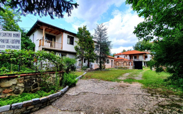 Πρασινάδα Δράμας: Η μονή της Μεταμόρφωσης του Σωτήρος υποδέχτηκε την ιστορική εικόνα του Αγίου Γεωργίου Περιστερεώτα (φωτ.)