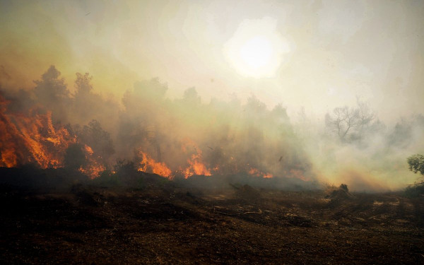 Ξέσπασε φωτιά σε δάσος στα Κομνηνά Κοζάνης (βίντεο)