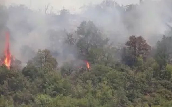 Φωτιά στην Κεφαλονιά: «Σηκώθηκαν» έξι εναέρια μέσα - Εστάλη μήνυμα «112» για ετοιμότητα των κατοίκων