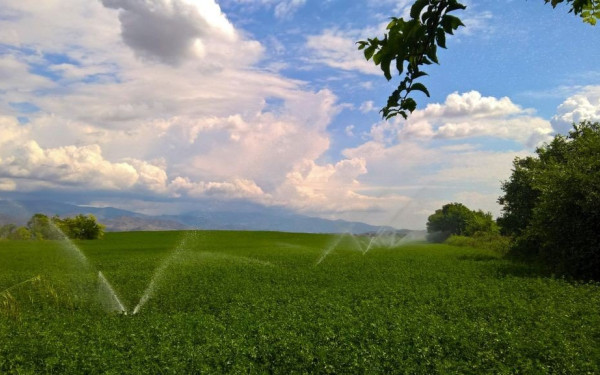 Μειώνονται τα δημοτικά τέλη στον δήμο Δίου-Ολύμπου