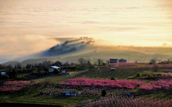 Σε ντοκιμαντέρ του National Georgaphic οι ανθισμένες ροδακινιές της Βέροιας