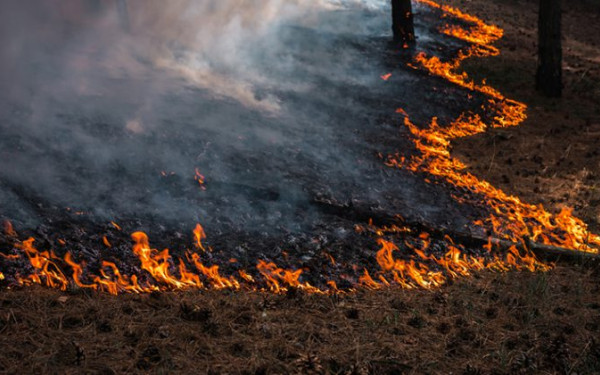 Φωτιά στο Παγγαίο Καβάλας - Καίει στην περιοχή Αυγό