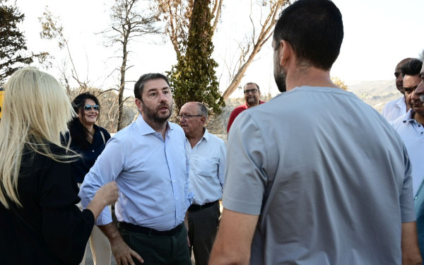 Ανδρουλάκης από Μαραθώνα για πυρκαγιές: Στο ίδιο έργο θεατές με καταστροφές λίγα χιλιόμετρα από το κέντρο της Αθήνας