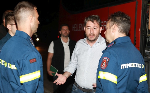 Ν. Ανδρουλάκης: Αδιανόητο να έχουμε κάθε χρόνο στο λεκανοπέδιο της Αττικής τέτοιες εκτεταμένες πυρκαγιές