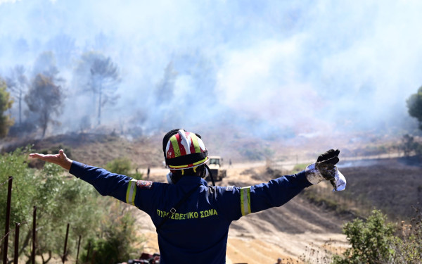 Κικίλιας για πυρκαγιές στην Αττική: Σκληρή μάχη σε Καλλιτεχνούπολη και Γραμματικό - Νέες αναζωπυρώσεις και μηνύματα για εκκενώσεις (βίντεο)