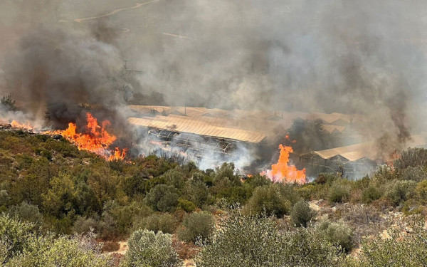 Φωτιά στην Αττική: Στα 150 μέτρα από τα σπίτια οι φλόγες στο Μαραθώνα - Καίγονται τα φυτώρια (βίντεο, φωτ.)