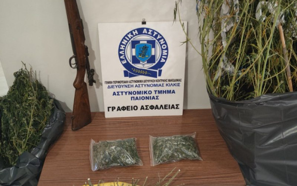 Κιλκίς: Συνελήφθη γυναίκα για κατοχή ναρκωτικών και καλλιέργεια δενδρυλλίων κάνναβης