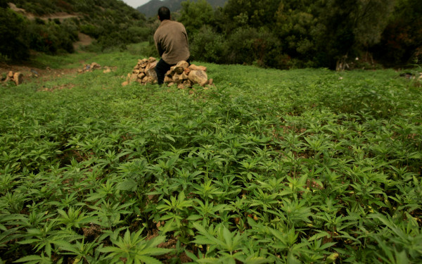 Μαρόκο: Ο βασιλιάς έδωσε χάρη σε σχεδόν 5.000 καταδικασμένους ή καταζητούμενους για καλλιέργεια κάνναβης