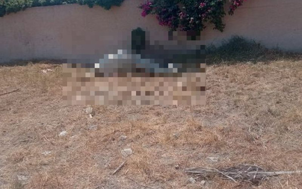 Αδιανόητη κτηνωδία στην Σαντορίνη: Έδεσαν άλογο και το άφησαν να πεθάνει από δίψα κάτω από τον καυτό ήλιο (βίντεο, φωτ.)