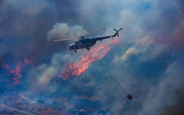 Πυρκαγιά σε δασική έκταση στη Δροσοπηγή Ιωαννίνων