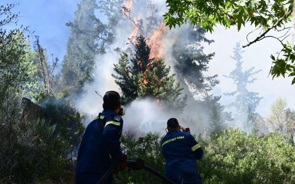 Υπό έλεγχο οι φωτιές στην Εύβοια - Επιχειρούν και εναέριες δυνάμεις (βίντεο)