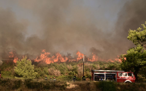 Φωτιά στην Αττική: Έκκληση της ΕΛ.ΑΣ. στους πολίτες να ακολουθούν τις οδηγίες εκκένωσης - «Μην επιστρέφετε στις πυρόπληκτες περιοχές»