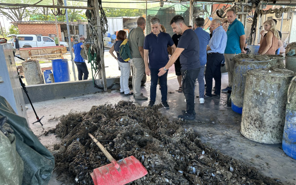 Θεσσαλονίκη: Αυτοψία Γιουτίκα στις ολοκληρωτικά κατεστραμμένες μυδοκαλλιέργειες του Θερμαϊκού Κόλπου (φωτ.)