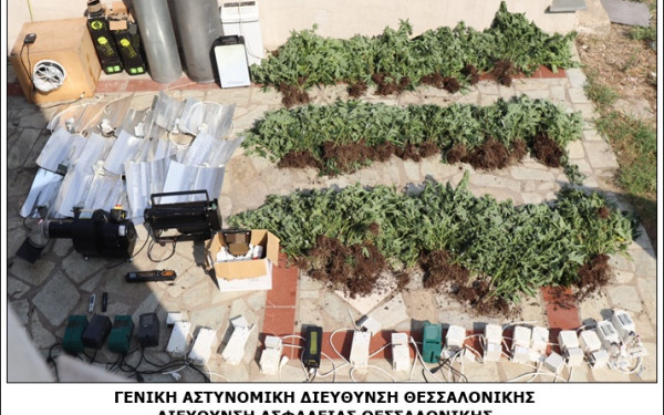 Θεσσαλονίκη: Συνελήφθη 27χρονος για καλλιέργεια και πώληση κάνναβης