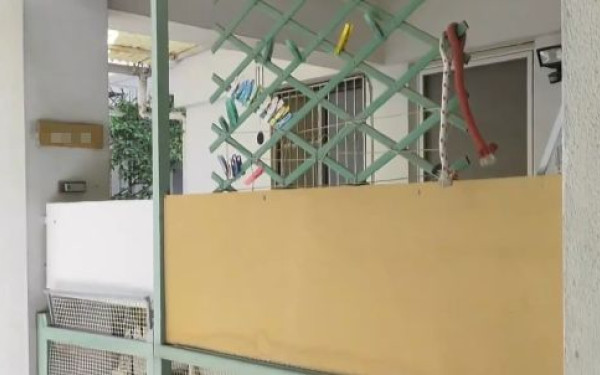 Οικογενειακό δράμα στο Παλαιό Φάληρο: «Εγώ του ζήτησα να με σκοτώσει», είπε η 89χρονη στις Αρχές (βίντεο)