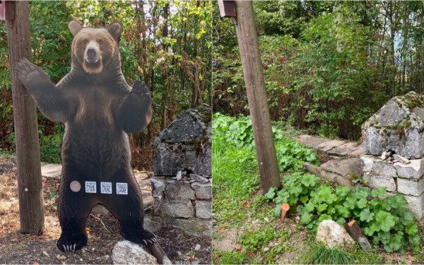 Ήπειρος: Έκλεψαν την «αρκούδα» στην Ελάτη Ζαγορίου