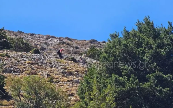 Ολοκληρώθηκε με επιτυχία η διάσωση του μελισσοκόμου που έπεσε στο φαράγγι της Σαμαριάς