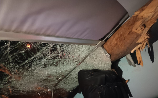 Αφίδνες: Ο κορμός του δέντρου διαπέρασε τους υαλοπίνακες της αμαξοστοιχίας - Δείτε φωτογραφίες