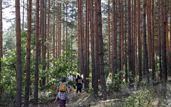 «Γέφυρα» ανθρώπων και ζώων αποδεικνύεται η σήραγγα ελληνοβουλγαρικής φιλίας