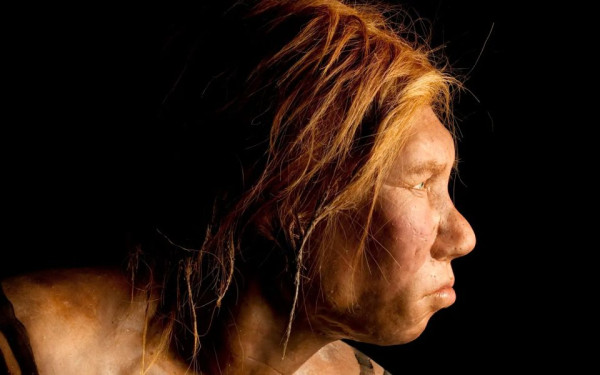 Οι Νεάντερταλ μπορεί να εξαφανίστηκαν λόγω του… αντικοινωνικού τρόπου ζωής τους