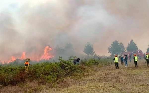 «Συναγερμός» για υψηλό κίνδυνο πυρκαγιάς σε Θεσσαλονίκη και Χαλκιδική