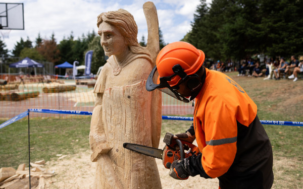 Χαλκιδική: Έργα τέχνης με αλυσοπρίονο στον ορεινό όγκο του Χολομώντα (φωτ.)
