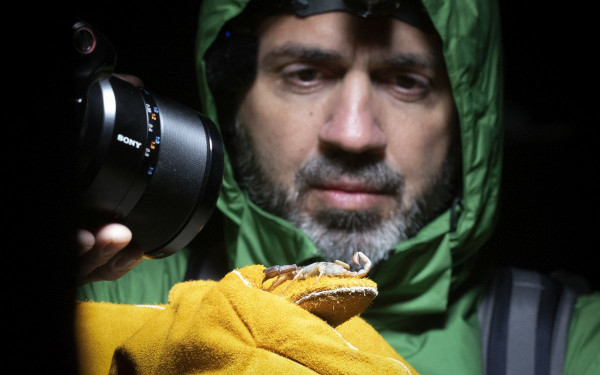 Η... άγρια Ελλάδα αποκαλύπτεται στην κάμερα (φωτ.)