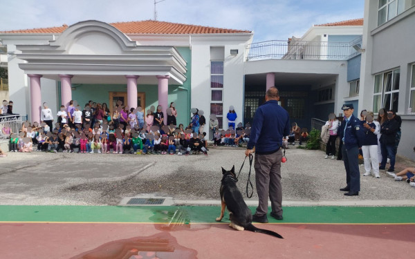 Καστοριά: Αστυνομικός σκύλος που ανιχνεύει εκρητικές ουσίες πήγε ...σχολείο
