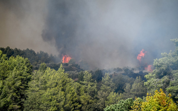 Αμαλιάδα: Οι βροχοπτώσεις βοηθούν τις πυροσβεστικές δυνάμεις στο Γεράκι