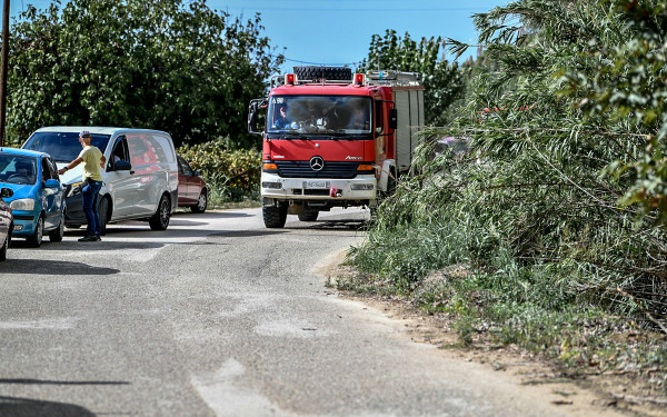 Ηλεία: «Καλύτερη είναι η εικόνα της φωτιάς» λέει ο δήμαρχος Ήλιδας