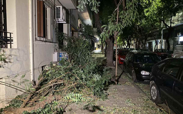 Θεσσαλονίκη: Προβλήματα από τους θυελλώδεις ανέμους - Τουλάχιστον 44 κοπές δέντρων και 200 κλήσεις στην πυροσβεστική (βίντεο, φωτ.)