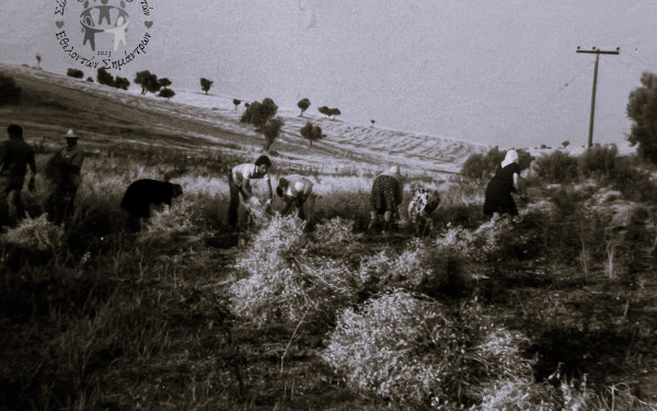 Παγκόσμια Ημέρα Αγρότισσας: Τέσσερις γυναίκες μιλούν για την επιλογή τους να ασχοληθούν με τον πρωτογενή τομέα
