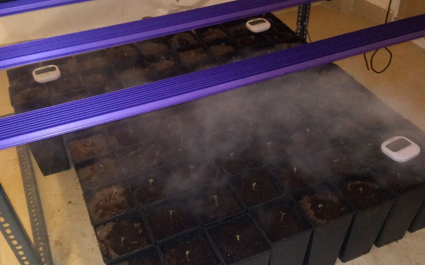 Θεσσαλονίκη: Στη φάκα για καλλιέργεια κάνναβης στο μπαλκόνι τους