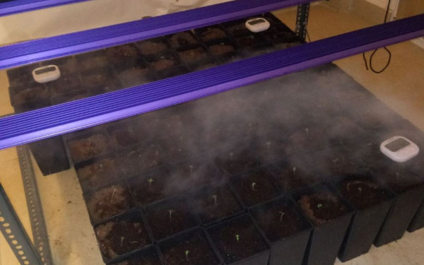 Συνελήφθησαν 2 άνδρες με 75 γλάστρες με χασίς (φωτ.)