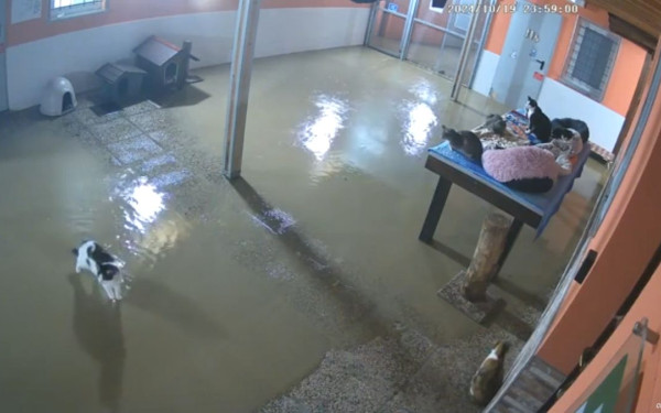 Φονικές πλημμύρες στην Ιταλία: Ένας νεκρός και ένας αγνοούμενος στην Εμίλια Ρομάνια (βίντεο)