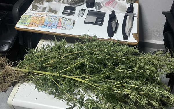 Πέλλα: Πέταξε 0,5 γρ. κοκαΐνη από το ΙΧ του και οι αστυνομικοί εντόπισαν σπίτι του 9 δενδρύλλια κάνναβης