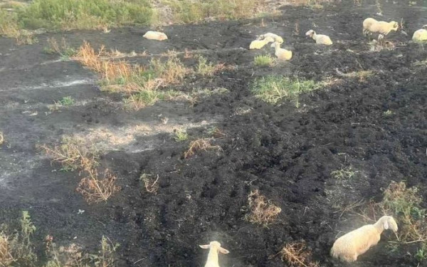 «Καμπανάκι» κινδύνου για την ευλογιά: Lockdown εάν δεν αποδώσουν τα μέτρα