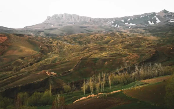 Τουρκία: Αρχαιολόγοι πιστεύουν πως ανακάλυψαν την «Κιβωτό του Νώε»
