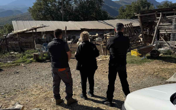 Κατερίνη: Έλεγχοι και πρόστιμα σε κτηνοτροφικές μονάδες για παραβάσεις που αφορούν τους Σκύλους Φύλαξης Ποιμνίων