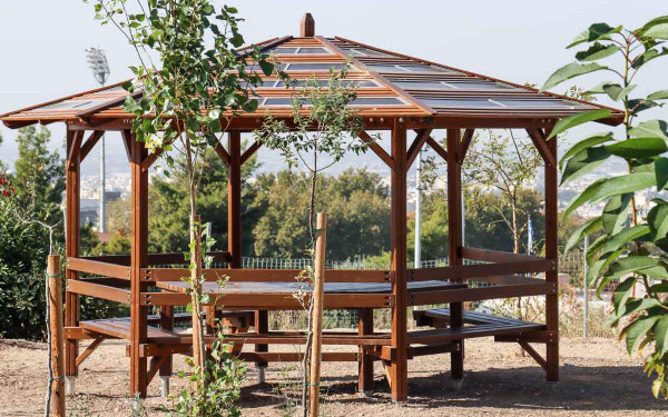 Θεσσαλονίκη: Την τελική του μορφή παίρνει το Βρώσιμο Δάσος στη Νεάπολη