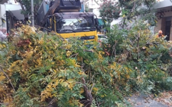 Αθήνα: Φορτηγό έπεσε σε δέντρο και το ξερίζωσε στην Πατησίων - Κυκλοφοριακό κομφούζιο στην περιοχή (βίντεο)