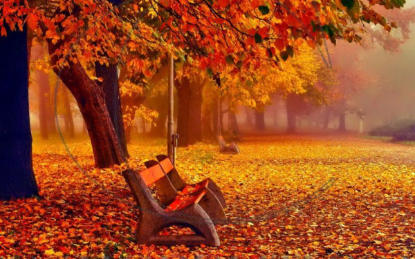 Καλό μας Νοέμβριο! Του Θόδωρου Χατζηπαντελή