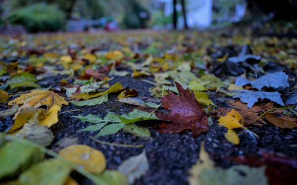 Θεσσαλονίκη: Με βροχές ξεκινάει η εβδομάδα των Χριστουγέννων - Η πρόγνωση του τριημέρου