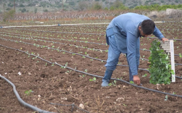 Ενεργοποιήθηκε η ηλεκτρονική υπηρεσία έκδοσης βεβαίωσης «Επαγγελματία Αγρότη» και «Κατόχου Αγροτικής Εκμετάλλευσης» για το φορολογικό έτος 2023