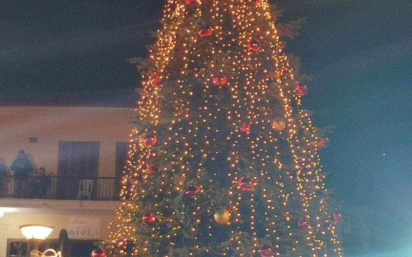 Με 20.000 λαμπάκια άναψε το χριστουγεννιάτικο δέντρο στον Ταξιάρχη Χαλκιδικής (φωτ.)